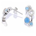 Серьги 020202-187C-113